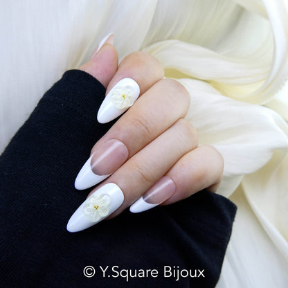 Magnolia