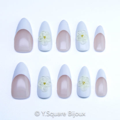 Magnolia